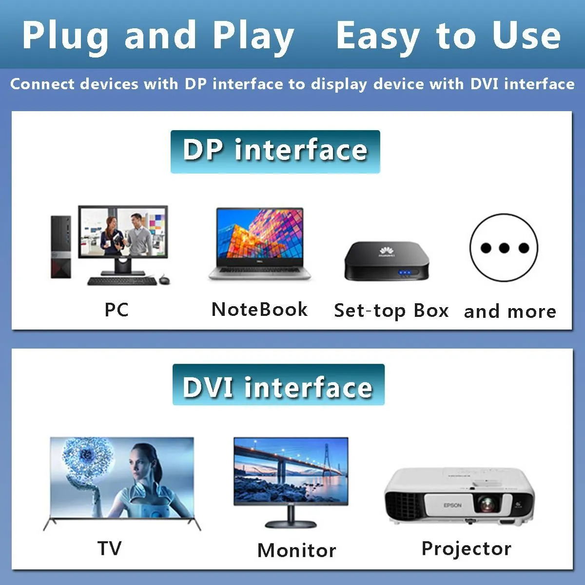 DP-DVI ZG-DPDVIMM01-2